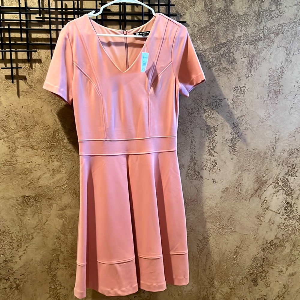 NWT Blush Versona A line dress